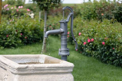 470+ Water Hand Pump Stock Photos, Pictures & Royalty-Free Images - iStock | Water pump, Water well Hand Water Pump, Irrigation Pumps, Tallgrass Prairie, Young Farmers, Electric Water Pump, Drinking Water Bottle, Metal Containers, Water Well, Hand Pump