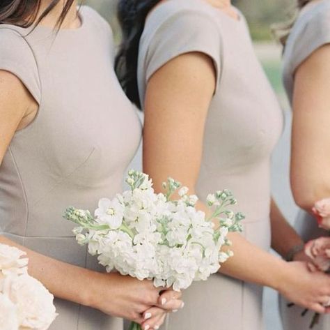 Wedding & Event Floral Design on Instagram: "A 2023 look we are thrilled to see more of is unique and single product bridesmaid’s bouquets. What do you guys think?!?   #bridesmaidsbouquet #bridesmaids #bridesmaidsbouquets #uniquebeidesmaidsbouquets #singleproductbouquet #uniquebouquets #bridesmaidsbouquets" Single Stem Bridesmaid, Single Stem Bridesmaid Bouquet, Bouquet Shapes, Hand Bouquet, Event Floral Design, Bridesmaid Bouquet, Gold Dress, Wedding Event, Elegant Dresses