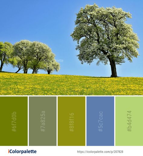 Color Palette ideas from 3434 Grass Images | iColorpalette Agriculture Color Palette, Grass Images, Micro Farming, Color Palette Ideas, Urban Agriculture, Sky Tree, Palette Ideas, Find Color, Colour Palettes