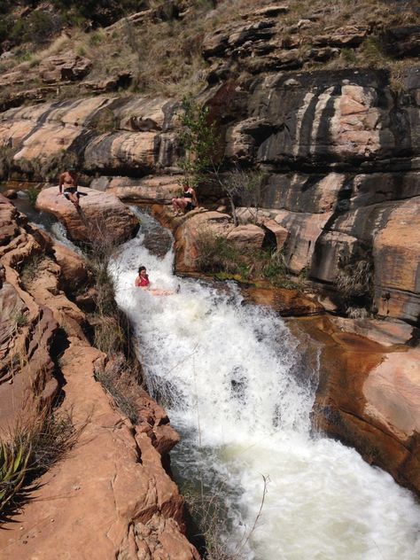 So You Want to Join the Conservation Corps? - Sights Better Seen Conservation Corps, Gila Monster, Lake Mead, Invasive Plants, Project Site, Work Site, Too Good To Be True, Marine Biology, Day Off