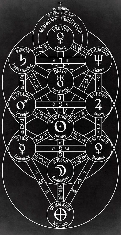 Kabbalah Tattoo, Hermetic Kabbalah, Knowledge Wallpaper, Human Geometry, Hermetic Principles, Learn Physics, Occult Tattoo, Occult Science, Mystic Moon