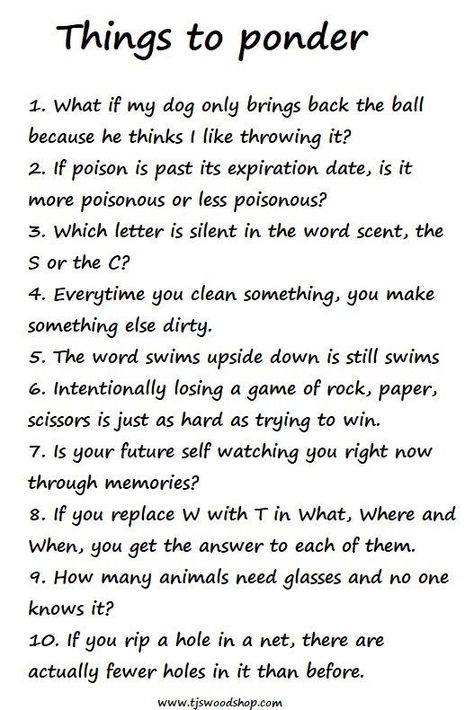 Weird Things To Say, Fun Facts Mind Blown, Sense Of Entitlement, Funny Riddles, Funny Questions, Mind Blowing Facts, Jokes And Riddles, Funny Thoughts, Weird Things