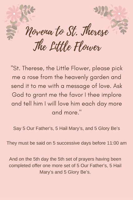 Novena to St. Therese The Little Flower St Therese Novena, St Therese Of Lisieux Feast Day, St Theresa Little Flower Feast Day, Saint Therese The Little Flower, St Teresa Little Flower, St Theresa Little Flower, Catholic Lifestyle, St Therese Prayer, Catholic Saints Prayers