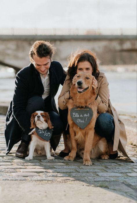 Our golden retriever and King Charles spaniel welcome us in engaged life Cavalier King Spaniel, King Spaniel, Cavalier King Charles Dog, King Charles Dog, Dream Future, Cute Dogs And Puppies, Cavalier King, Charles Spaniel, Cavalier King Charles Spaniel