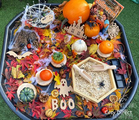 Home Corner Eyfs, Autumn Eyfs Activities, Autumn Eyfs, Halloween Activities For Toddlers, Tuff Spot, Autumn Room, Halloween Sensory, Room On The Broom, Play Activity