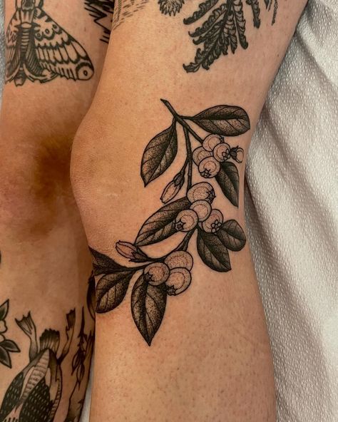 Blueberry knee hug for Heather. Thank you for letting me add to your beautiful collection! 🌱🫐 | Instagram Woman’s Leg Tattoos, Vintage Tattoo Ideas For Women, Geometric Tattoo Knee, Flower Around Knee Tattoo, Blueberry Tattoo Traditional, Century Plant Tattoo, Double Knee Tattoo, Flowers Around Ankle Tattoo, Behind The Knee Tattoo Women