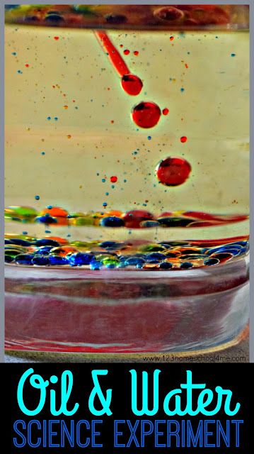 Oil And Water Experiment, Balloon Science Experiments, Candy Science Experiments, Summer Activity For Kids, Water Science Experiments, Christmas Science Experiments, Easy Science Projects, Candy Science, Cycle For Kids