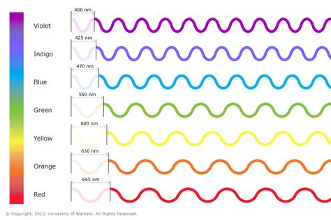 Colours of light — Science Learning Hub Visible Light Spectrum, Physics Lessons, Light Science, Physics Formulas, Visible Spectrum, Electromagnetic Spectrum, Shingle Colors, Physics And Mathematics, Light Wave