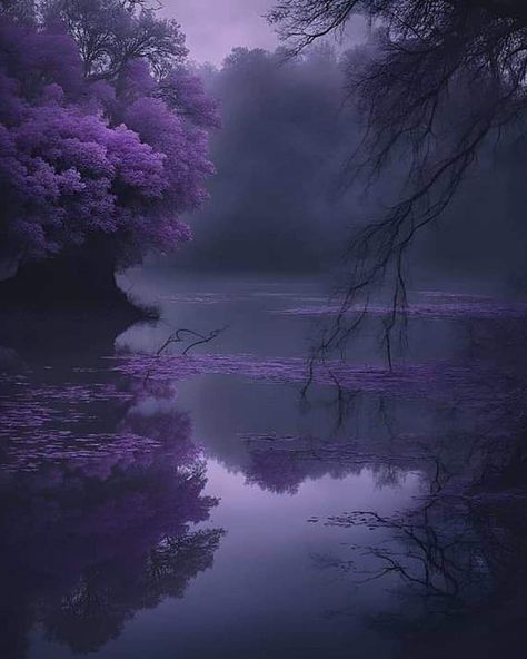 Dark Wisteria Aesthetic, Wisteria Tree Aesthetic, Wisteria Aesthetic, Facts About Halloween, Eevee Wallpaper, Canva Graphics, Purple Forest, Dark Purple Flowers, Dark Forest Aesthetic