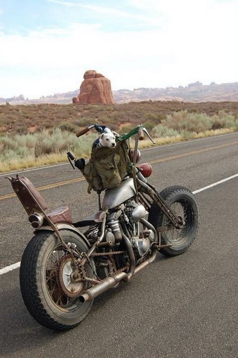 Rock Balboa, Vintage Motorcycle Photos, Mountain Bike Tattoo, Cafe Racer Design, Road King Custom, Harley Davidson Fatboy, Motorcycle Decor, Best Mountain Bikes, Classic Harley Davidson