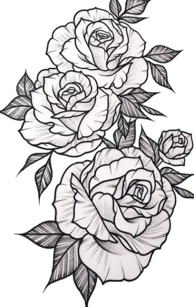 Rose Tattoo Stencil, Background Tattoo, Rose Drawing Tattoo, Rose Tattoo Sleeve, Roses Tattoo, Inspiration Tattoos, Floral Tattoo Sleeve, Finger Tattoo, Tattoo Stencil Outline