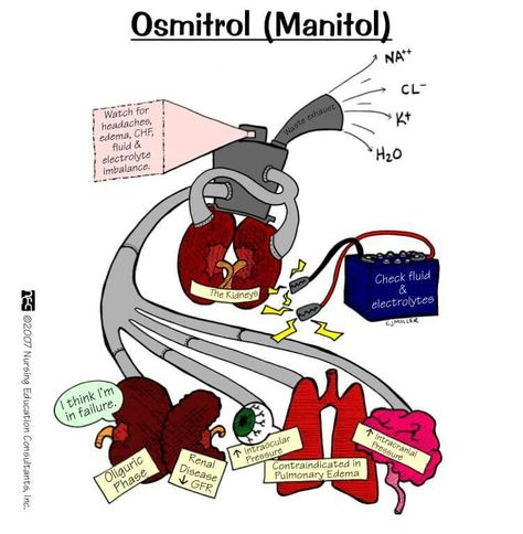 Mannitol Nursing Ideas, Nursing Exam, Nursing Mnemonics, Pharmacology Nursing, Nursing School Survival, Critical Care Nursing, Best Nursing Schools, Nurse Rock, Nursing School Studying