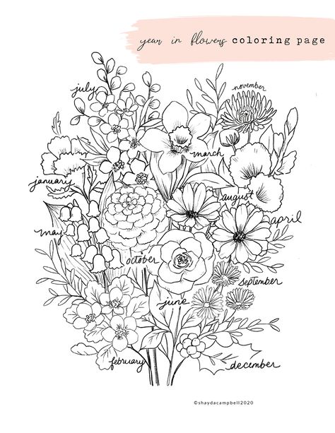 A Year In Flowers Coloring Page | Shayda Campbell on Patreon Doodle Plants, Shayda Campbell, Floral Line Art, Flower Line Drawings, Flowers Coloring, Flower Drawings, Flowers Drawing, Flower Art Drawing, Floral Embroidery Patterns