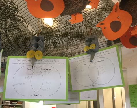 Venn Diagrams for Possum Magic. We also did egg carton possum craft to mount our work and hang from our netting. Possum Craft, Australia Activities, Talk 4 Writing, Possum Magic, Venn Diagrams, Storytime Crafts, Maths Ideas, Author Study, Australian Bush