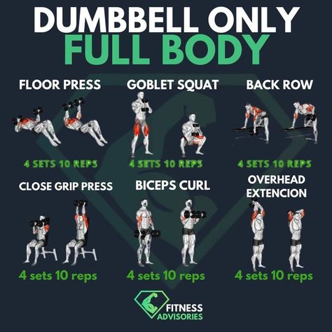 Fullbody Dumbbell Workout, Dumbbell Strength Training, Get Ripped Workout, Chest Workout For Men, Strength And Conditioning Workouts, Full Body Weight Workout, Workout Labs, Hiit Workout Routine, Gym Workout Guide