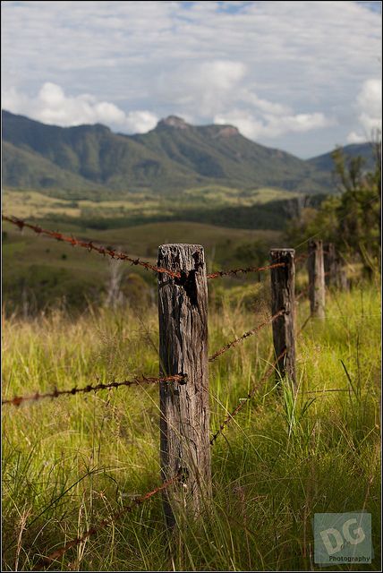 old fences | Old fence | Flickr - Photo Sharing! Old Fences And Gates Rustic, Rural Fencing, Hope County, Watercolor Wallpaper Iphone, Country Fences, Rustic Fence, Old Fences, Iphone Wallpaper Hipster, Wallpaper Iphone Summer