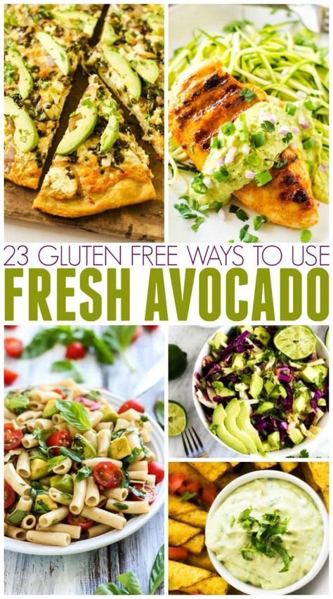 Avocado Health Benefits, Gluten Free Living, Fresh Avocado, Healthy Work Snacks, Paleo Dinner, Avocado Recipes, Healthy Eating Recipes, Gluten Free Dairy Free, Sin Gluten