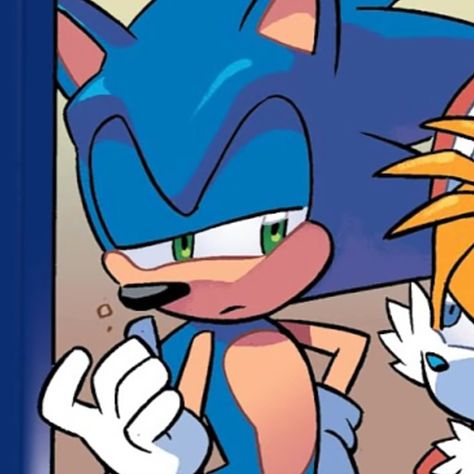 Sonic Comic Pfp, Sonic Idw Pfp, Sonic Comic Panels, Sans Pfp, Sonic Png, Sonic Pfp, Sonic Images, Sonic Idw, Scenecore Art