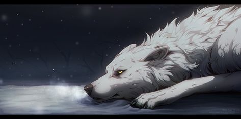 Wolf’s Rain, Wolf Artwork, Fantasy Wolf, Werewolf Art, Wolf Drawing, Canine Art, White Wolf, Anime Wolf, Anime Animals