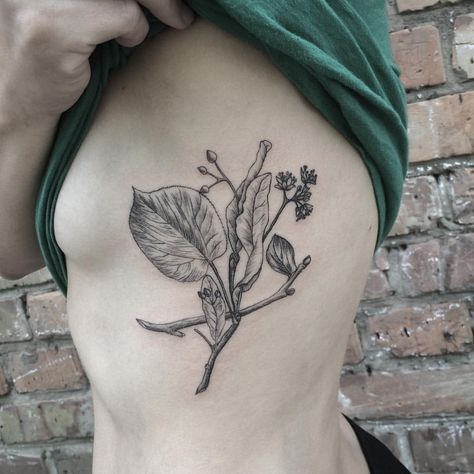 #linden #linework #plantillustration #planttattoo #beautiful #marytereshchenko #love Linden Tattoo, Pinterest Tattoo Ideas, Symbols Of Love, Floral Tattoos, Linden Tree, Sweet Tattoos, Plant Tattoo, Floral Tattoo Design, Leaf Drawing