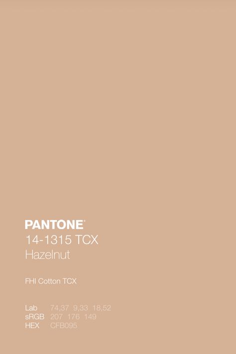 PANTONE 14-1315 TCX Hazelnut • Download Free Adobe Illustrator Palette in .ase • #pantone #pantone2020 #colortrends2020 #colourinspiration #swatches #colorpalettes #pantonecolors #colorpallete #colortrend #colourtrends #coloraesthetic #colorcombination #colourcombination #colourinspiration #colorcombos #forecast #autumncolors #fallcolor #autumncolours #hazelnut Mood Boards Color, Color Terracota, Pantone Palette, Pantone Colour Palettes, Spring Color Palette, Summer Color Palette, Fall Color Palette, Colour Tint, Color Swatch