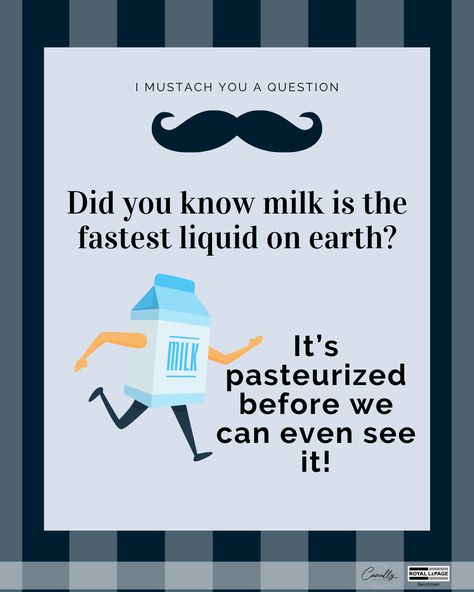 I hope you don't sour on these jokes as I continue to milk them...   Let's make YOUR dreams... Realty!  #milk #fast #playonwords #pasteurize #dadjokes #kidjokes #funforthewholfamily #casuallypro #dreamstorealty Funny Riddles With Answers, Kid Jokes, Kids Jokes, Phrase Of The Day, Funny Riddles, Dad Jokes Funny, Corny Jokes, Grand Kids, Mom Jokes