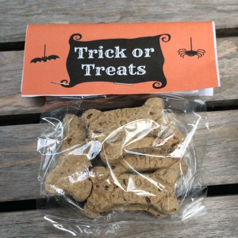 Halloween Pet Treats, Howloween Dog Party, Dog Halloween Treat Bags, Dog Treat Pouch Diy, Dog Treat Bags, Halloween Dog Treats, Halloween Trick Or Treat Bags, Organic Dog Treats, Dog Walking Business