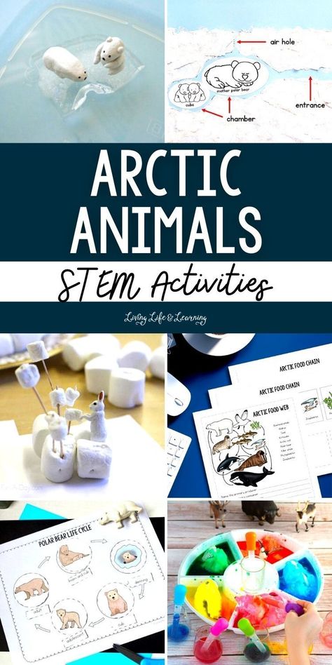 These Arctic Animals STEM Activities are not only entertaining, but they also provide a unique opportunity for children to learn about the fragile ecosystem of the Arctic. Through homeschool hands-on experiments and immersive activities, children will gain a deep understanding of how polar animals adapt to their harsh environment and the effects of climate change on their habitats. Arctic Animals For Preschool, Winter Animal Science Activities, Arctic Science Experiments For Kids, Artic Fox Activities For Kids, Artic Animals Fine Motor Activities, Polar Habitat Project, Arctic Activities For Kids, Animals Stem Activities, Arctic Habitat Project For Kids