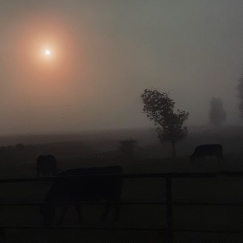 small town aesthetic country eerie feild sunrise Eerie Small Town Aesthetic, Small Town Witch Aesthetic, Small Town Cop Aesthetic, Small Town Horror Aesthetic, Creepy Small Town Aesthetic, Small Town Core, Small Town Aesthetic Dark, 80s Small Town Aesthetic, Ice Moodboard