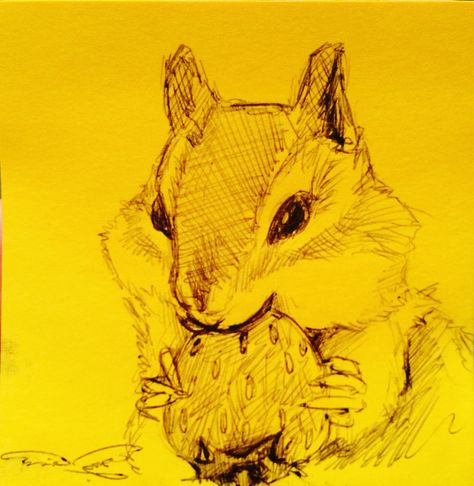 Pen doodling of chipmunk eating strawberry. Chipmunk Doodle, Chipmunk Sketch, Chipmunk Drawing, Strawberry Sketch, Chipmunk Art, Land Creatures, Eating Strawberry, Eastern Chipmunk, Animal Study