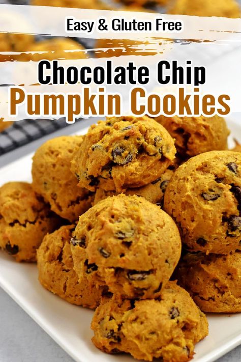 Lightly spiced with cinnamon and dotted with chocolate chips, these easy to make Gluten Free Chocolate Chip Pumpkin Cookies are a terrific fall treat. These soft chocolate chip pumpkin cookies are tender and chewy and packed with pumpkin flavor. Do some baking for the fall season and give these gluten free cookies a try. Vegan Pumpkin Chocolate Chip Cookies, Gluten Free Pumpkin Cookies, Vegan Pumpkin Cookies, Soft Cake, Homemade Snickers, Fitness Humor, Cookies Bars, Gluten Free Chocolate Chip, Sans Gluten Sans Lactose