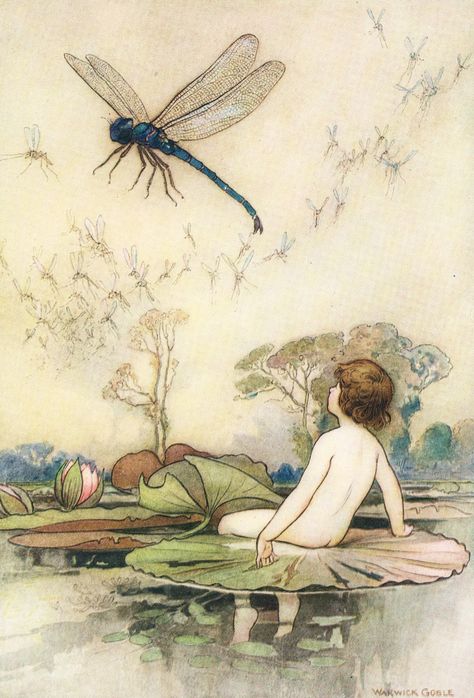 Warwick Goble, Dragonfly Images, Fairy Tale Illustration, Dragonfly Art, Vintage Fairies, Art Et Illustration, Art And Illustration, Fairy Art, A Dragon