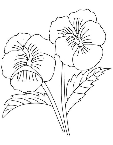 Free Printable Pansy Flower coloring page Pansy Flower, Butterfly Printable, Pansies Flowers, Coloring Pages Printable, Flower Coloring Pages, Page Ideas, Home Flowers, Free Printable Coloring, Free Printable Coloring Pages