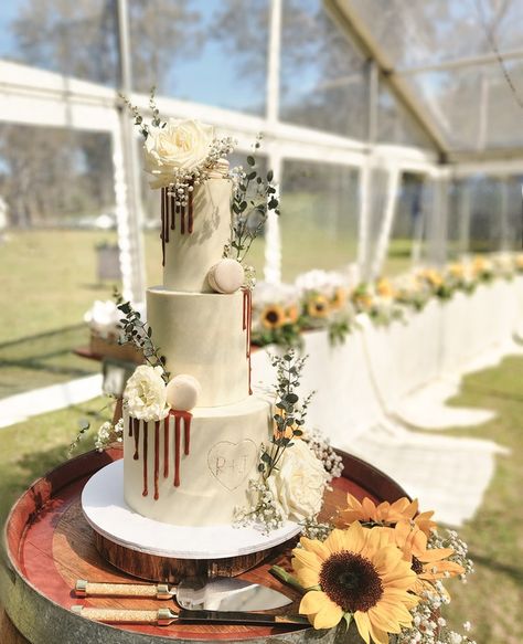 Richard + Jacinta 🌻💛 A love story... This stunning 3-tier wedding cake made an impressive journey, travelling over 100km to arrive at this beautiful wedding celebration. Set within a breathtaking transparent pavilion, the venue was adorned with elegant yellow and ivory tones, featuring vibrant sunflowers, delicate roses, baby’s breath, and lush greenery. The cake perfectly complemented the theme, with a smooth ivory white chocolate ganache exterior, accented by fresh roses, baby’s breath, ... 3 Tier Wedding Cakes, White Chocolate Ganache, Baby S Breath, A Love Story, Tiered Wedding Cake, Lush Greenery, Wedding Celebration, Chocolate Ganache, Ivory White