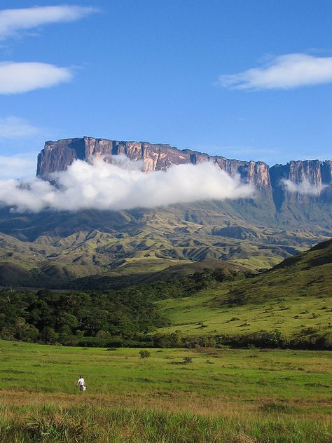 Kukenan Tepui, Venezuela Venezuela Wallpaper, Monte Roraima, South America Travel Destinations, Budget Vacation, America Latina, Cheap Flight, Cheap Flight Tickets, Flight Tickets, Fairy Queen