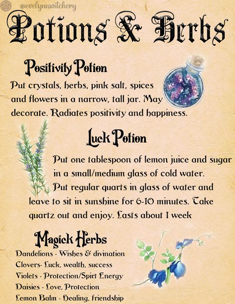 2 Potions and a short guide to Magick Herbs! May print to use in your Book of Shadows. Enjoy! Magick Herbs, Potions Book, Potions Recipes, Magickal Herbs, Witch Herbs, Witch Potion, Magia Das Ervas, Witchcraft Books, Wiccan Magic