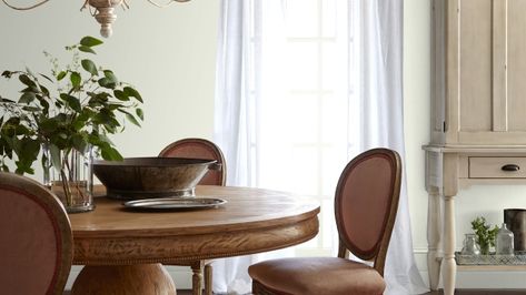 PANNA COTTA is one of 150 colors from Magnolia Home Paint. Find the shade that brings imagination to your life. Magnolia Home Paint, Magnolia Homes Paint, Joanna Gaines Paint, Magnolia Green, Home Paint, Coffee Nook, Flowers In Jars, Magnolia Homes, Joanna Gaines