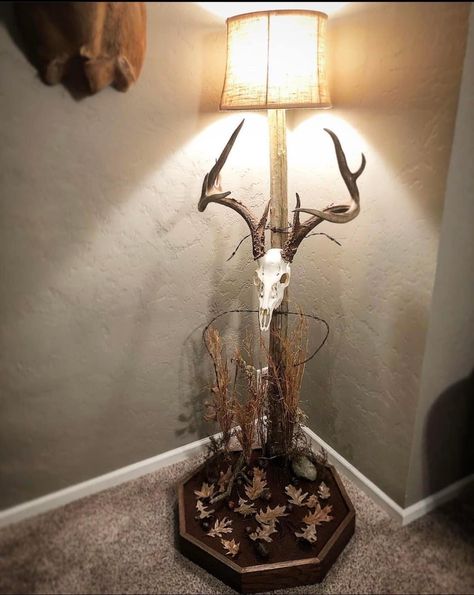 European Head Mount, Cool Deer Mounts, Skull Mount Ideas, Hunting Decor Living Room, Camp Equipment, Deer Mount Decor, Euro Mount, Deer Skull Mount, Euro Mounts