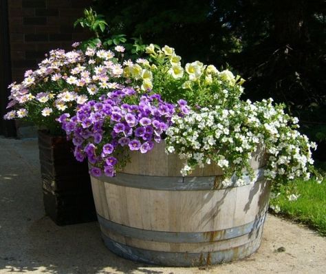 Wine Barrel Garden, Barrel Flowers, Whiskey Barrel Planter, Wine Barrel Planter, Barrel Planter, Wine Barrels, Flower Pots Outdoor, Planter Ideas, Wine Barrel