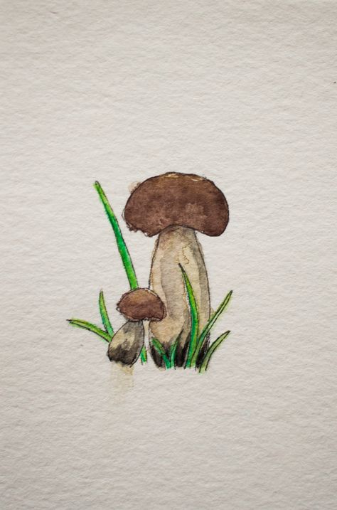 Watercolor Art Mushrooms Mushroom Drawing Colorful, Painting Ideas Mushrooms, Unif Bag, Mushrooms Drawing, Art Mushrooms, Mushroom Watercolor, Watercolor Mushroom, Mushroom Paint, Mushroom Drawing