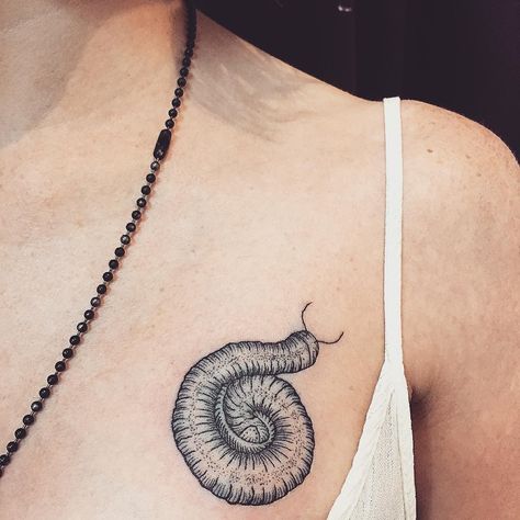 Little millipede I did today #tattoos#millipede#millipedetattoo#dotworktattoo#blackworktattoos#blackworkers#insecttattoo by molotovsubtle Emily Tattoo, Gothic Tattoos, Funky Tattoos, Bug Tattoo, C Tattoo, Intricate Tattoo, Gothic Tattoo, Classy Tattoos, Leg Tattoo