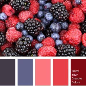 Food Colors Palette, Red Colour Palette, Color Schemes Colour Palettes, Color Magenta, Brand Color Palette, Design Seeds, Blue Colour Palette, Color Palette Design, Creative Colour