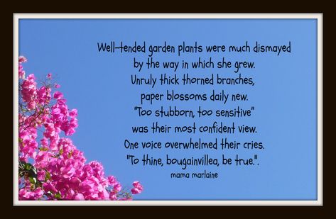 Bougainvillea Quotes, Nature Thoughts, Bougainvillea, The Well, Garden Plants, The Voice, Quotes, Quick Saves, Nature