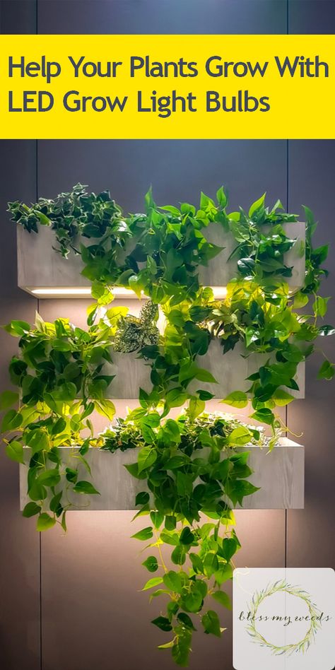 Grow Lights Diy, Light Bulb Plant, Indoor Plant Lights, Indoor Grow Lights, Growing Bulbs, Vertical Garden Indoor, Grow Light Bulbs, Bulbs Indoor, Grow Lights For Plants