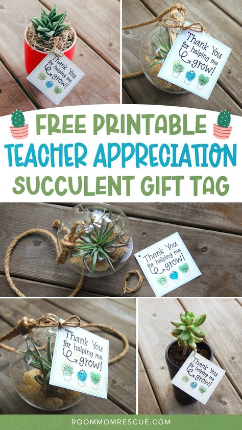 Teacher Appreciation Week Gifts Diy, Teacher Gift Diy, Free Teacher Appreciation Gifts, Best Gifts For Teachers, Free Teacher Appreciation Printables, Unique Teacher Appreciation Gifts, Teacher Appreciation Gift Ideas, Teacher Appreciation Diy, Homemade Teacher Gifts