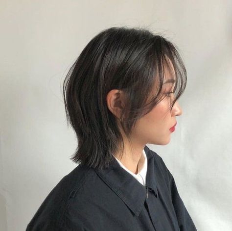 Hershey Cut, Korean Short Hair, Kadeřnické Trendy, Hair Streaks, Asian Short Hair, Wolf Cut, Shot Hair Styles, 짧은 머리, Mullet Hairstyle