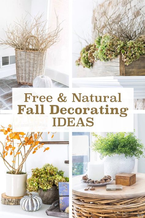 Fall Decor Using Nature, Nature Inspired Fall Decor, Homestead Fall Decor, Using Nature To Decorate, Frugal Fall Decor, Natural Fall Decorations, Fall Decor Natural, Fall Decor From Nature, Diy Fall Decor From Nature