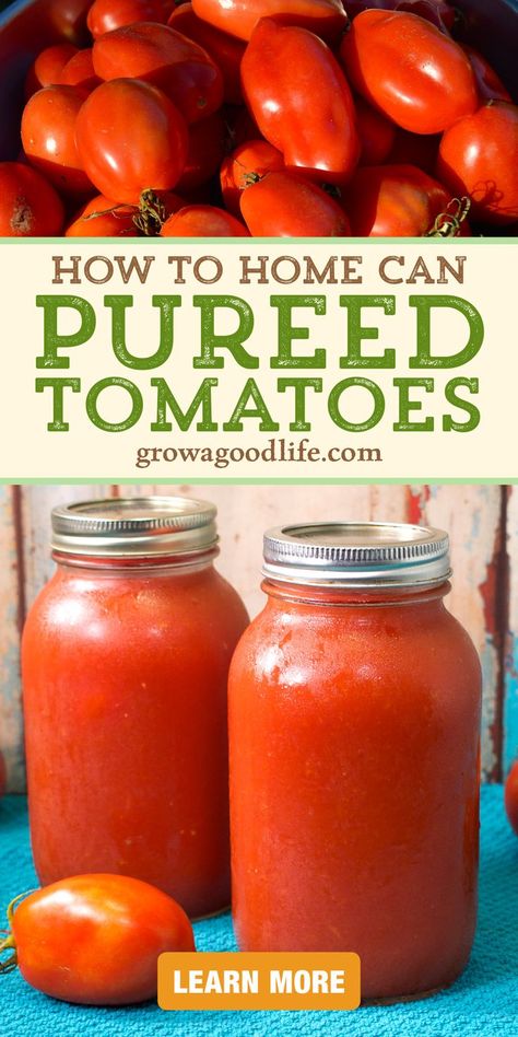 Canned Tomato Puree Recipes, How To Puree Tomatoes, Canning Tomato Puree, Tomato Puree From Fresh Tomatoes, No Peel Tomato Sauce For Canning, Pureed Tomato Recipes, What To Make With Ripe Tomatoes, How To Make Tomato Puree, Ripe Tomato Recipes