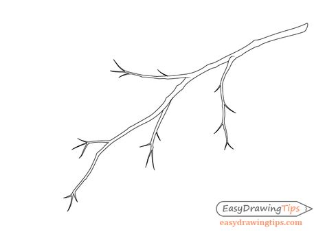 How To Draw Tree Branches, Tree Branch Outline, Tree Branch Drawing, Tree Branch Illustration, Tree Branch With Leaves, Draw A Tree, Branch Drawing, Branch With Leaves, November Calendar