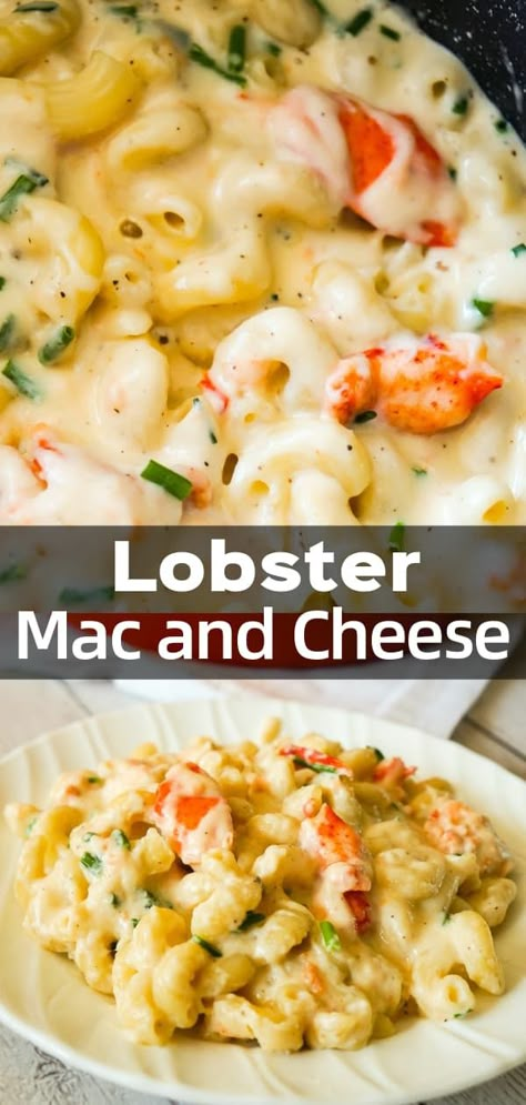 Lobster Mac N Cheese, Lobster Dishes, Seafood Dish Recipes, Pastas Recipes, Lobster Mac, Lobster Mac And Cheese, Seafood Pasta Recipes, Healthiest Seafood, Lobster Recipes